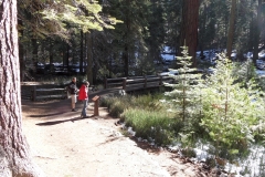 SAM_8686