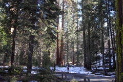 SAM_8697