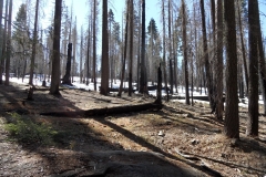 SAM_8706