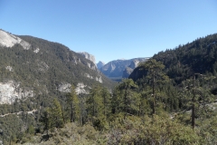 SAM_8728