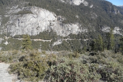 SAM_8733