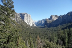 SAM_8742