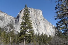 SAM_8753