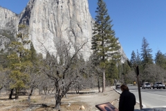 SAM_8761