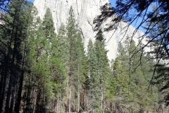 SAM_8769