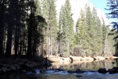 SAM_8775