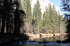 SAM_8776