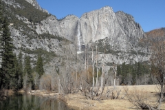 SAM_8779