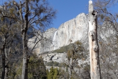 SAM_8787