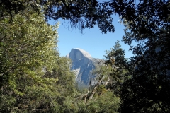SAM_8792