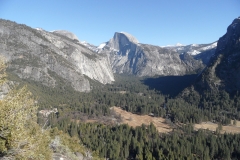 SAM_8801