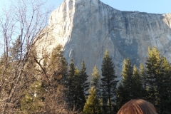 SAM_8829