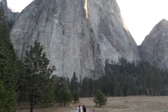 SAM_8836
