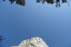 SAM_8854