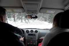 SAM_8892