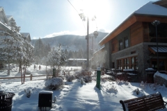 SAM_8942