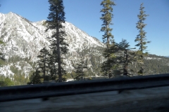SAM_9101