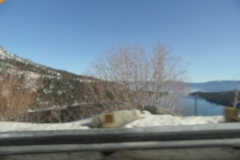 SAM_9105