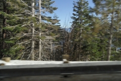 SAM_9107