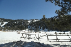 SAM_9148