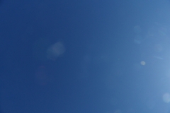 SAM_9172