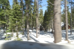 SAM_9198