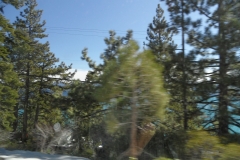 SAM_9201
