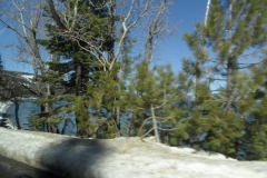 SAM_9206