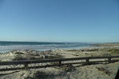 SAM_9524