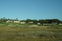 SAM_9539