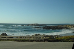 SAM_9543