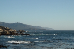 SAM_9549