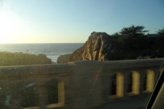 SAM_9567