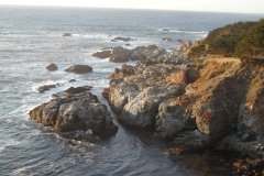 SAM_9570