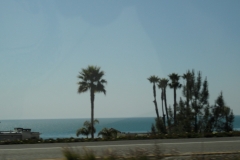 SAM_9699