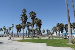 SAM_9759