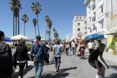 SAM_9773