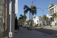 SAM_9799