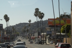 SAM_9820