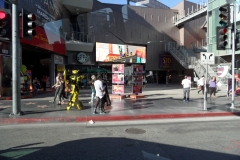 SAM_9823