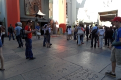 SAM_9832