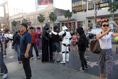 SAM_9834