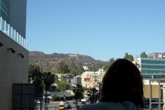 SAM_9840
