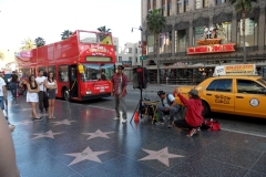 SAM_9842