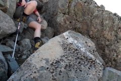 SAM_0065