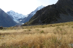 SAM_0187
