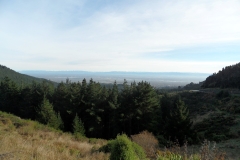 SAM_0206