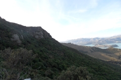 SAM_0210