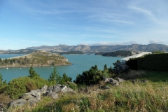 SAM_0212