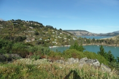 SAM_0213